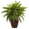 20" Boston Fern Plant In Decorative Planter 2 20" Boston Fern Plant In Decorative Planter -Michaels Shop D293839S 11