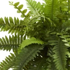 20" Boston Fern Plant In Decorative Planter -Michaels Shop D293839S 12