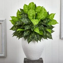 2.5ft Dumb Cane Plant In White Planter -Michaels Shop D293860S 13