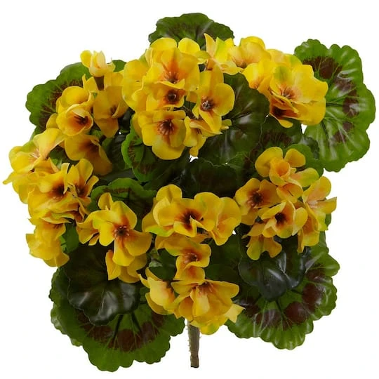 Yellow Geranium Bush, 4ct. 3 Yellow Geranium Bush, 4ct.