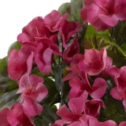 Pink Geranium Bush, 4ct. -Michaels Shop D293881S 12
