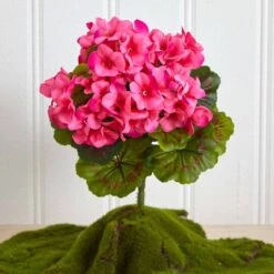 Pink Geranium Bush, 4ct. -Michaels Shop D293881S 16