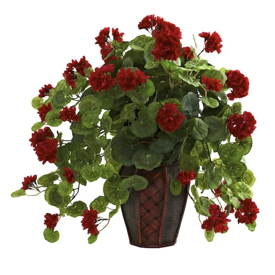 22'' Geranium With Decorative Planter 4 22'' Geranium With Decorative Planter - Image 2