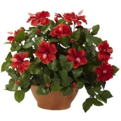 20" Red Hibiscus Plant With Clay Planter