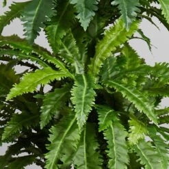 4ft. Marginatum In White Tower Vase -Michaels Shop D293909S 15