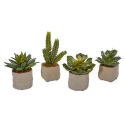 6" Potted Mixed Succulent Plants, 4ct.
