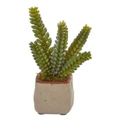 6" Potted Mixed Succulent Plants, 4ct. -Michaels Shop D293923S 13