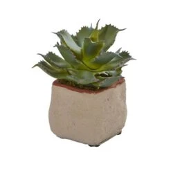 6" Potted Mixed Succulent Plants, 4ct. -Michaels Shop D293923S 15