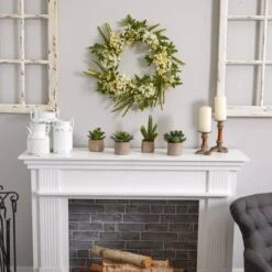 6" Potted Mixed Succulent Plants, 4ct. -Michaels Shop D293923S 17