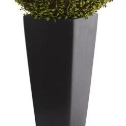 2.5ft. Mohlenbechia Ball In Black Tower Vase -Michaels Shop D293925S 13