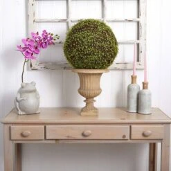 2.5ft. Mohlenbechia Ball In Black Tower Vase -Michaels Shop D293925S 18