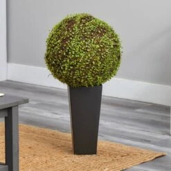 2.5ft. Mohlenbechia Ball In Black Tower Vase -Michaels Shop D293925S 20