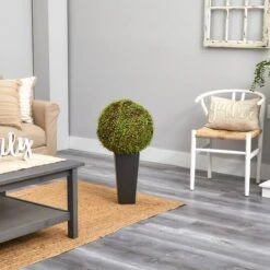 2.5ft. Mohlenbechia Ball In Black Tower Vase -Michaels Shop D293925S 21