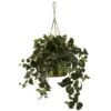 24" Philo In Hanging Basket -Michaels Shop D293935S 11
