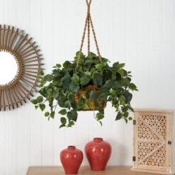 24" Philo In Hanging Basket -Michaels Shop D293935S 14