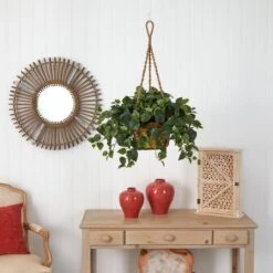 24" Philo In Hanging Basket -Michaels Shop D293935S 15