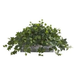 20" Puff Ivy Plant In Stone Planter