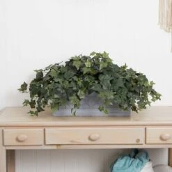 20" Puff Ivy Plant In Stone Planter -Michaels Shop D293943S 13