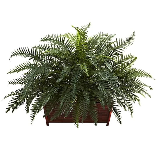 2.5ft. River Fern In Wood Planter 4 2.5ft. River Fern In Wood Planter - Image 2