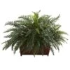 2.5ft. River Fern In Wood Planter -Michaels Shop D293951S 11