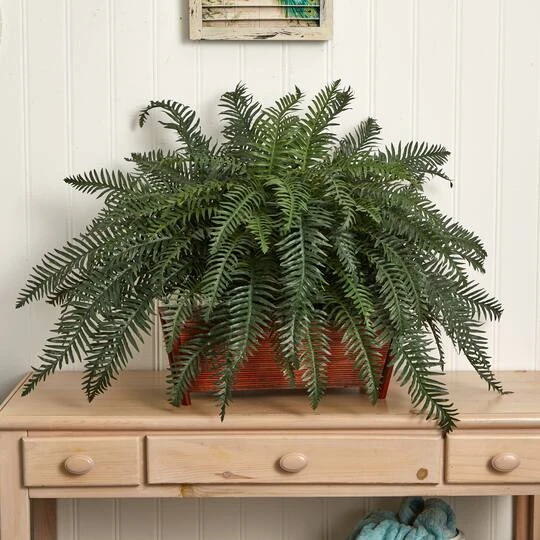 2.5ft. River Fern In Wood Planter 8 2.5ft. River Fern In Wood Planter - Image 6