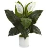 2ft. Peace Lily Plant In Glossy Glass Planter -Michaels Shop D293954S 1
