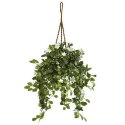 3.5ft. Stephanotis Flowering Plant In Hanging Basket -Michaels Shop D293960S 11 1
