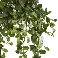 3.5ft. Stephanotis Flowering Plant In Hanging Basket -Michaels Shop D293960S 13