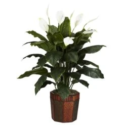 4ft. Peace Lily Plant In Wood Vase