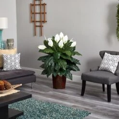 4ft. Peace Lily Plant In Wood Vase -Michaels Shop D293961S 13