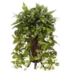 3ft. Vining Mixed Greens Plant In Decorative Stand