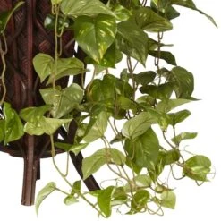 3ft. Vining Mixed Greens Plant In Decorative Stand -Michaels Shop D293974S 13