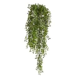 3ft. Potted Honey Locust Bush Plant, 2ct. -Michaels Shop D293979S 11 1