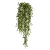 3ft. Potted Honey Locust Bush Plant, 2ct. -Michaels Shop D293979S 11