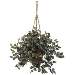 20" Inchplant Hanging Basket