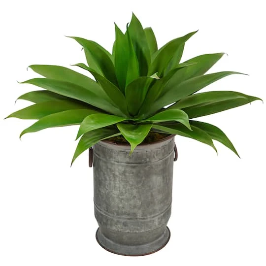 2ft. Agave Plant In Vintage Metal Planter 4 2ft. Agave Plant In Vintage Metal Planter - Image 2