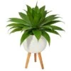 2.5ft. Agave Plant In White Planter With Stand 1 2.5ft. Agave Plant In White Planter With Stand -Michaels Shop D293998S 1