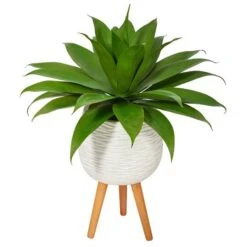 2.5ft. Agave Plant In White Planter With Stand