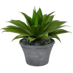 22" Agave Succulent Plant In Gray Planter -Michaels Shop D294000S 1 1
