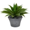 22" Agave Succulent Plant In Gray Planter -Michaels Shop D294000S 1