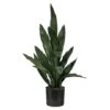 2ft. Potted Snake Plant -Michaels Shop D294004S 1