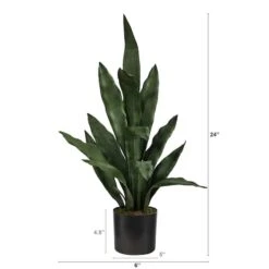 2ft. Potted Snake Plant -Michaels Shop D294004S 2