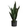 22" Potted Snake Plant -Michaels Shop D294005S 1
