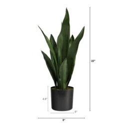 22" Potted Snake Plant -Michaels Shop D294005S 2