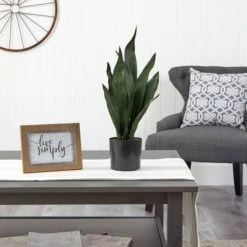 22" Potted Snake Plant -Michaels Shop D294005S 3