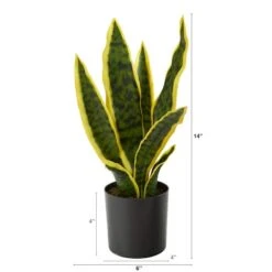 14" Potted Variegated Snake Plant -Michaels Shop D294010S 2