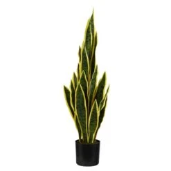 2.5ft. Potted Variegated Snake Plant