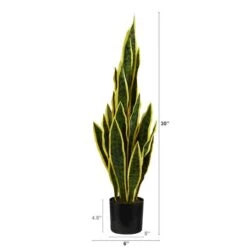 2.5ft. Potted Variegated Snake Plant -Michaels Shop D294013S 2