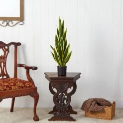 2.5ft. Potted Variegated Snake Plant -Michaels Shop D294013S 3