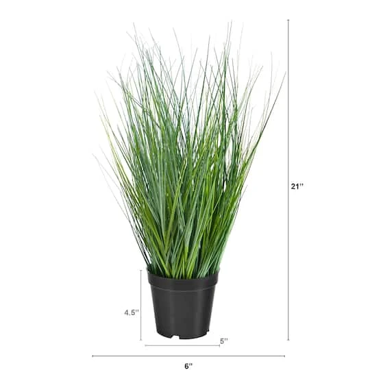 21" Potted Onion Grass Plant 5 21" Potted Onion Grass Plant - Image 3